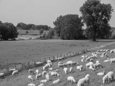Ren Nehri 'ndeki hendek.