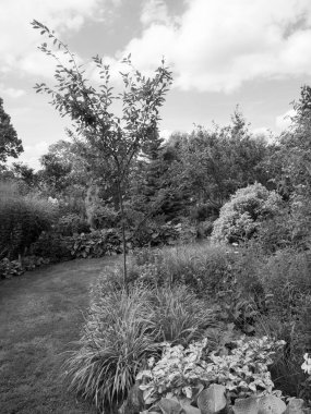 Hollanda 'daki bahçe