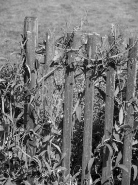 Westphalia 'daki Velen şehri