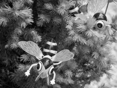 Hollanda 'da Winterswijk