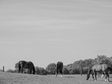 Westphalia 'da yaz zamanı