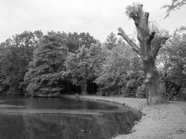 Westphalia 'da yaz zamanı