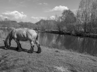 Hollanda 'da Eibergen