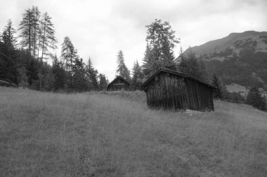 Avusturya Alpleri'nde hiking