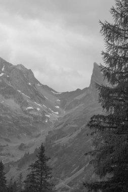 Avusturya Alpleri'nde hiking