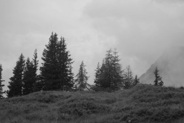 Avusturya Alpleri'nde hiking