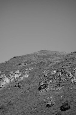 Avusturya Alpleri'nde