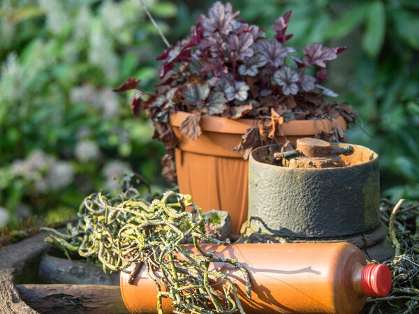 summer time in westphalia