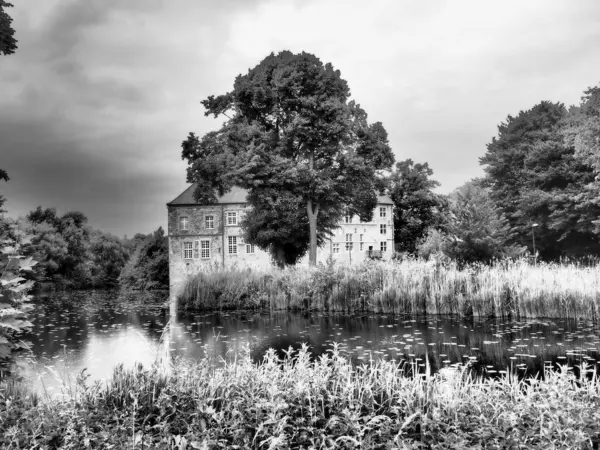 stock image summer time in westphalia