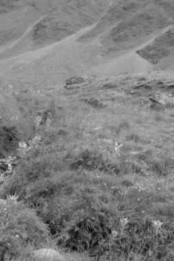 Avusturya Alpleri'nde hiking