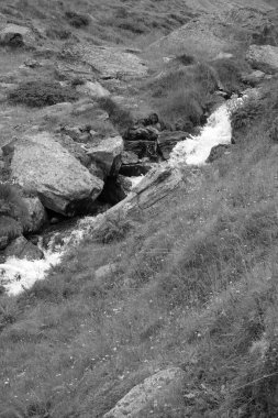 Avusturya Alpleri'nde hiking