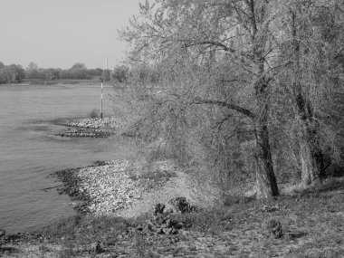 Almanya'da Ren Nehri