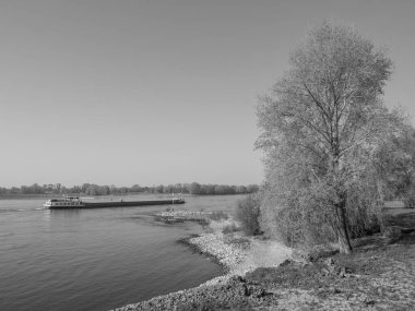 Almanya'da Ren Nehri