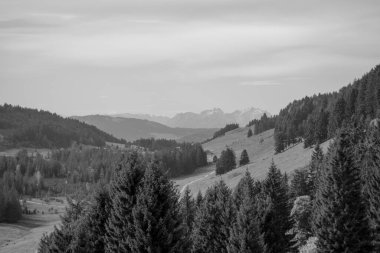 Avusturya Alpleri'nde hiking