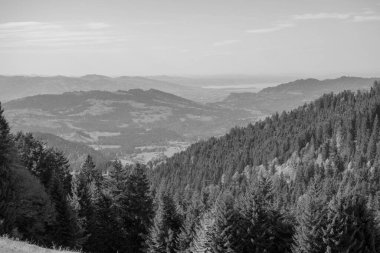 Avusturya Alpleri'nde hiking