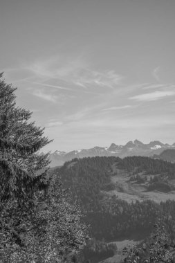 Avusturya Alpleri'nde hiking