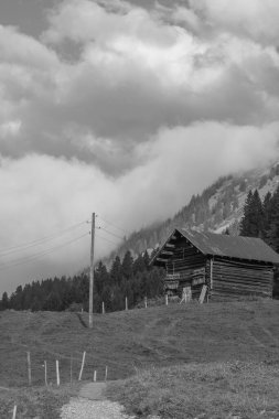 Avusturya Alpleri'nde hiking