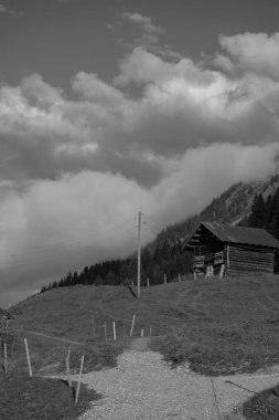 Avusturya Alpleri'nde hiking