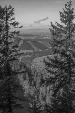 Avusturya Alpleri'nde hiking