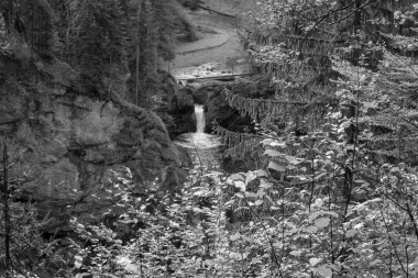 Avusturya Alpleri'nde hiking