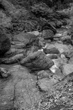 Avusturya Alpleri'nde hiking