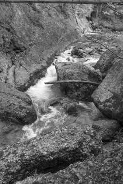 Avusturya Alpleri'nde hiking