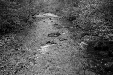 Avusturya Alpleri'nde hiking