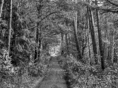 Westphalia 'daki Weseke köyü.