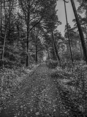 Westphalia 'daki Weseke köyü.