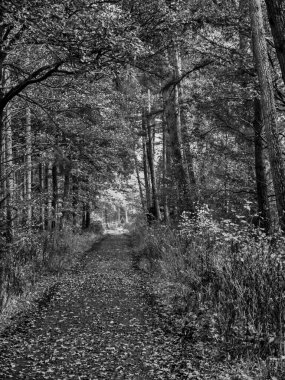 Westphalia 'daki Weseke köyü.