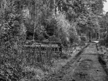 Westphalia 'daki Weseke köyü.