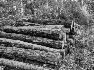 Westphalia 'daki Weseke köyü.