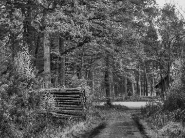 Westphalia 'daki Weseke köyü.