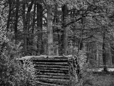 Westphalia 'daki Weseke köyü.