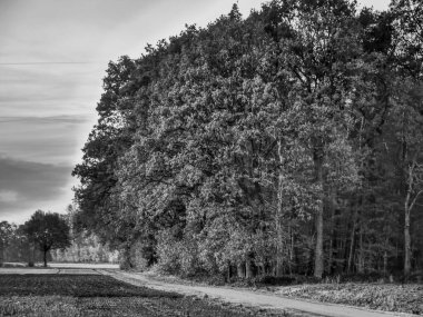 Westphalia 'daki Weseke köyü.