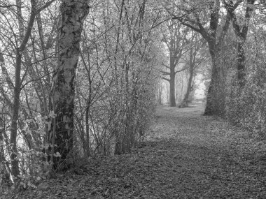 Westphalia 'da Borken yakınlarında küçük bir nehir.