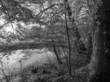 Westphalia 'da Borken yakınlarında küçük bir nehir.