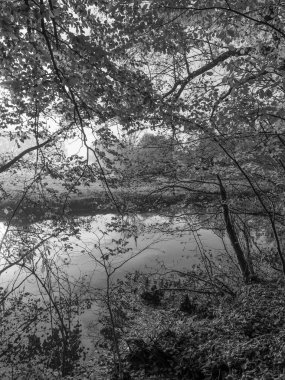 Westphalia 'da Borken yakınlarında küçük bir nehir.