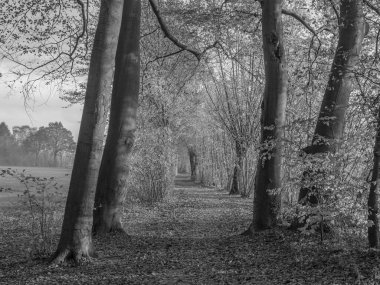 Westphalia 'da Borken yakınlarında küçük bir nehir.