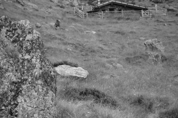 Avusturya Alpleri'nde hiking