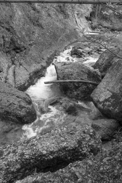 Avusturya Alpleri'nde hiking