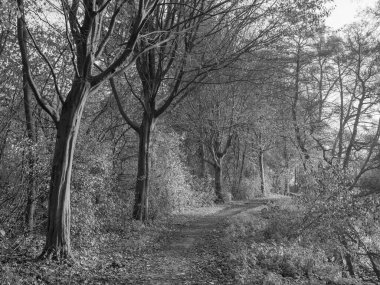 Westphalia 'da Borken yakınlarında küçük bir nehir.
