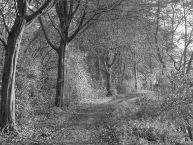 Westphalia 'da Borken yakınlarında küçük bir nehir.