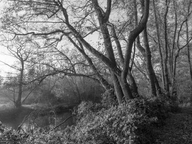 Westphalia 'da Borken yakınlarında küçük bir nehir.
