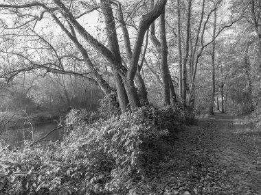 Westphalia 'da Borken yakınlarında küçük bir nehir.