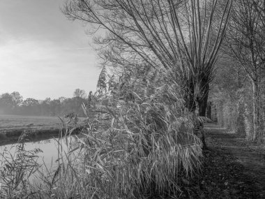 Westphalia 'da Borken yakınlarında küçük bir nehir.