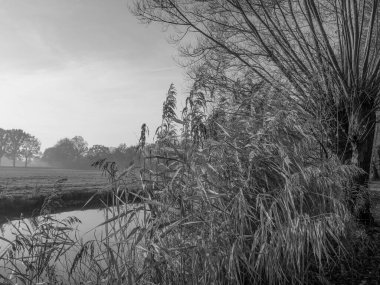 Westphalia 'da Borken yakınlarında küçük bir nehir.