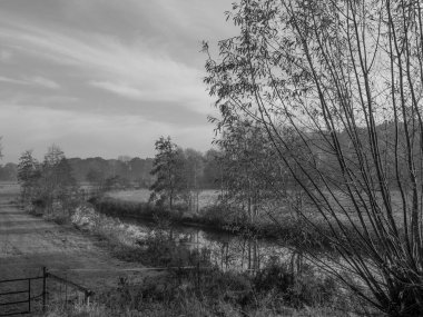 Alman Muensterland 'inde manzara