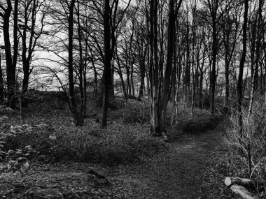 Alman Muensterland 'inde manzara