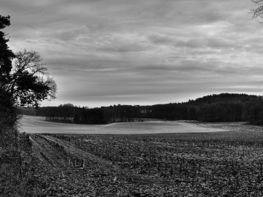 Alman Muensterland 'inde manzara